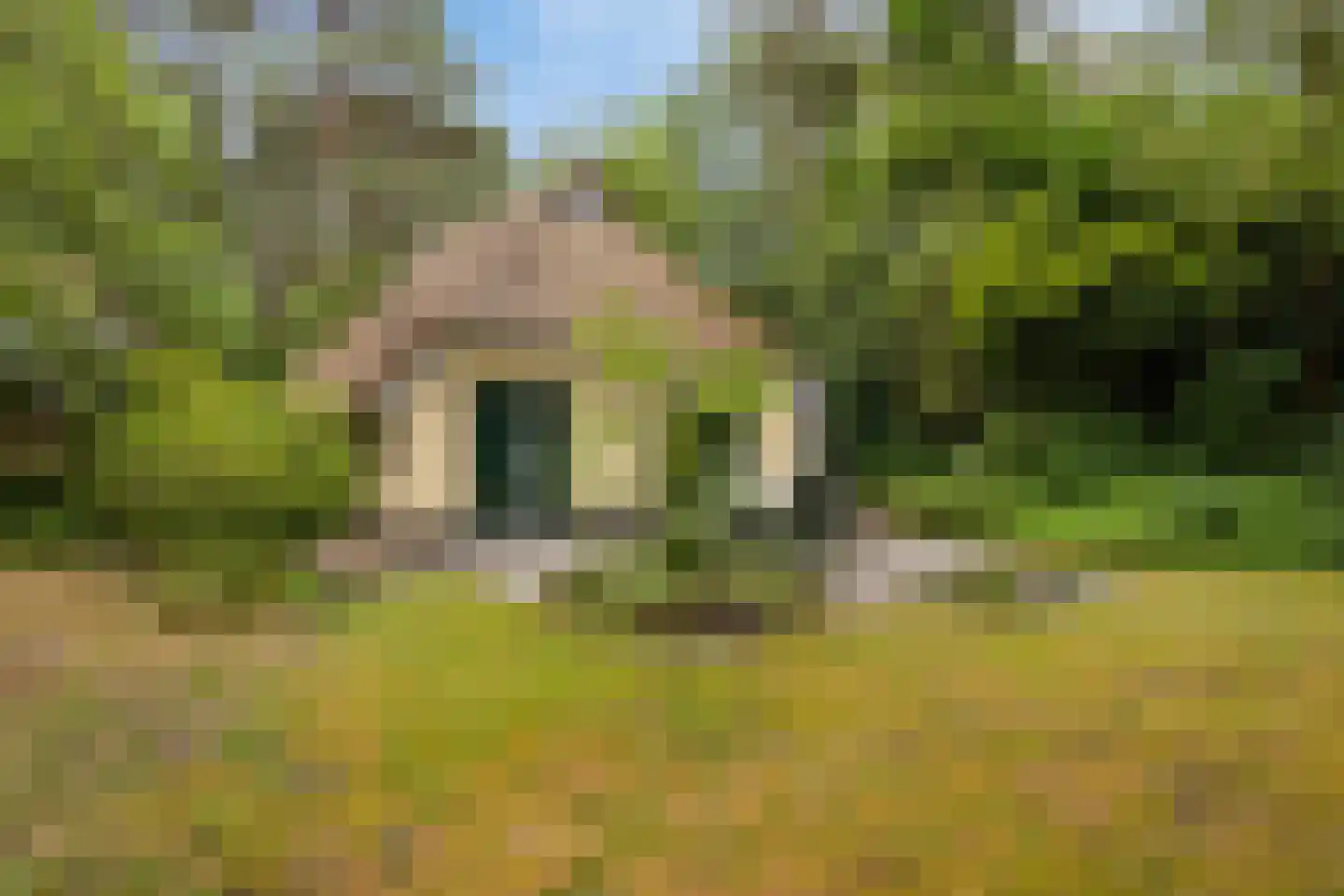 't Hertenspoor 103 Diever thumbnail 34