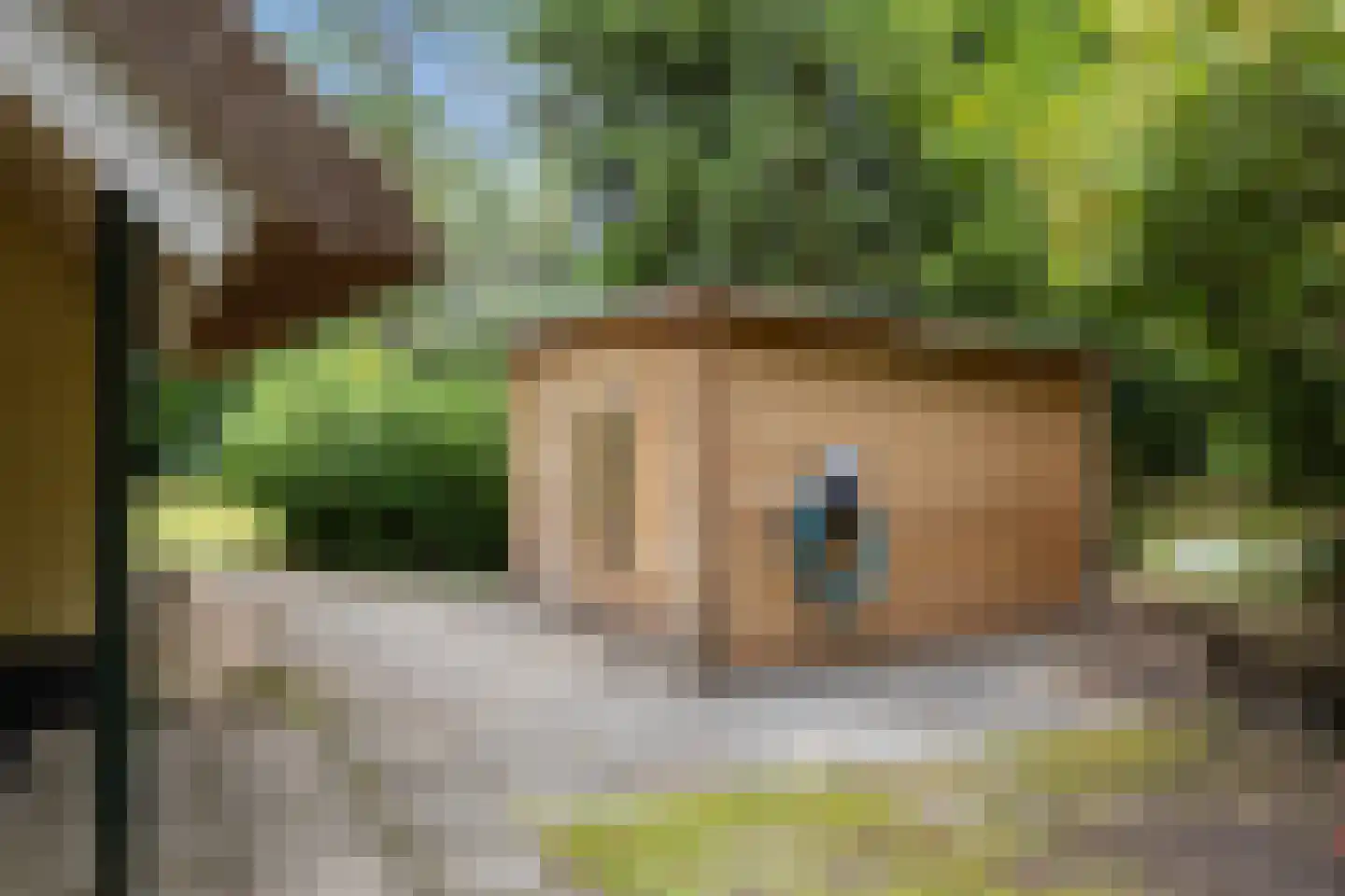 't Hertenspoor 103 Diever thumbnail 35