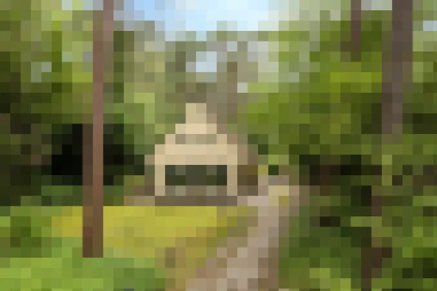 't Hertenspoor 103 Diever thumbnail 36