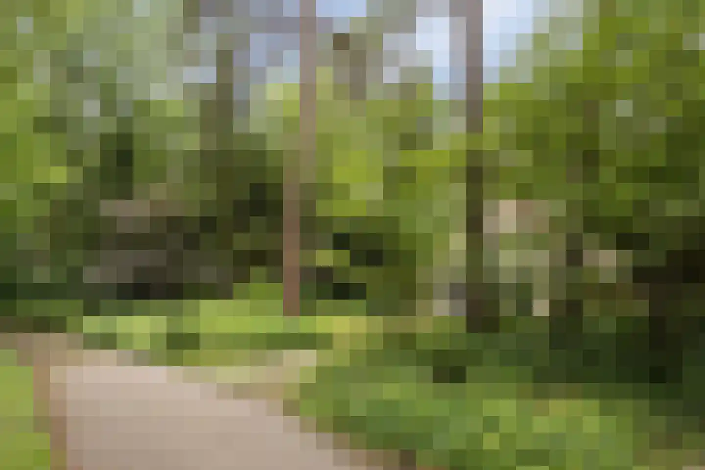 't Hertenspoor 103 Diever thumbnail 37