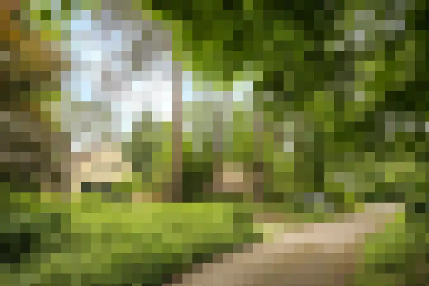 't Hertenspoor 103 Diever thumbnail 38