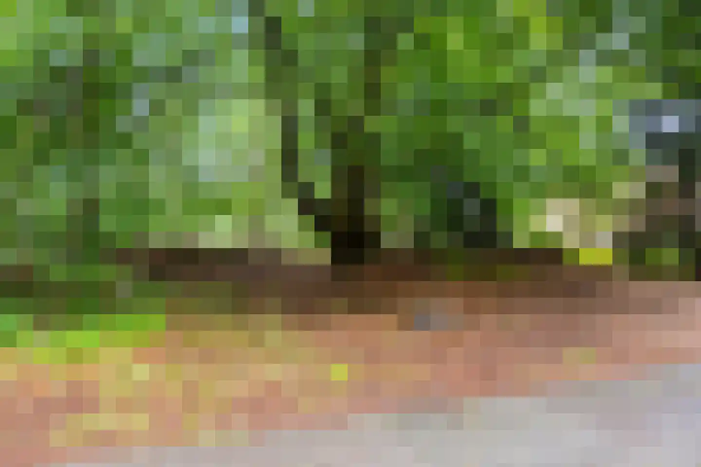 't Hertenspoor 103 Diever thumbnail 40