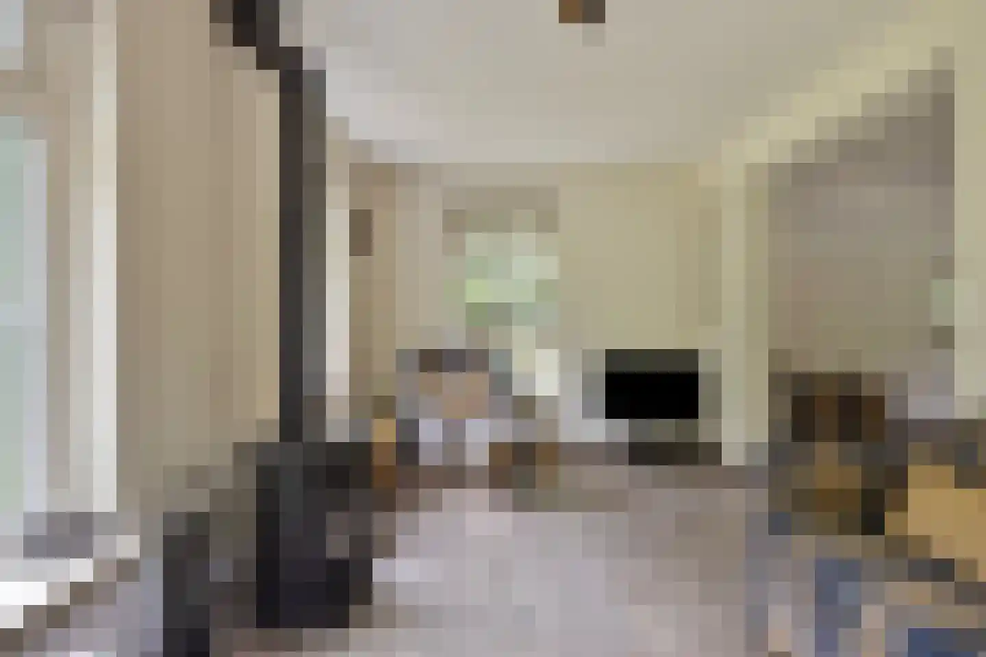't Hertenspoor 103 Diever thumbnail 9