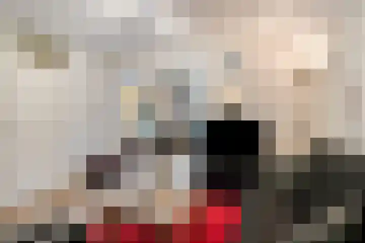 't Hertenspoor 120 Diever thumbnail 14