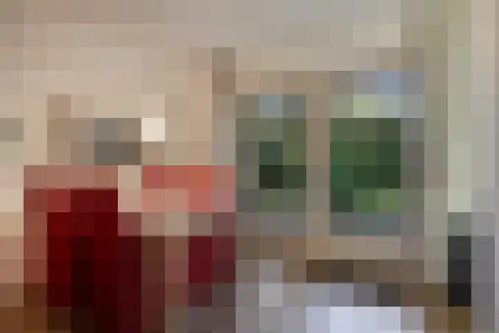 't Hertenspoor 120 Diever thumbnail 15