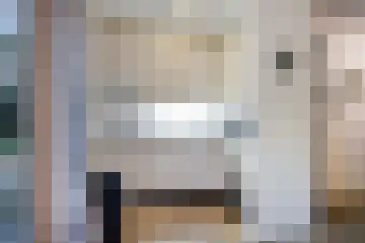 't Hertenspoor 120 Diever thumbnail 16