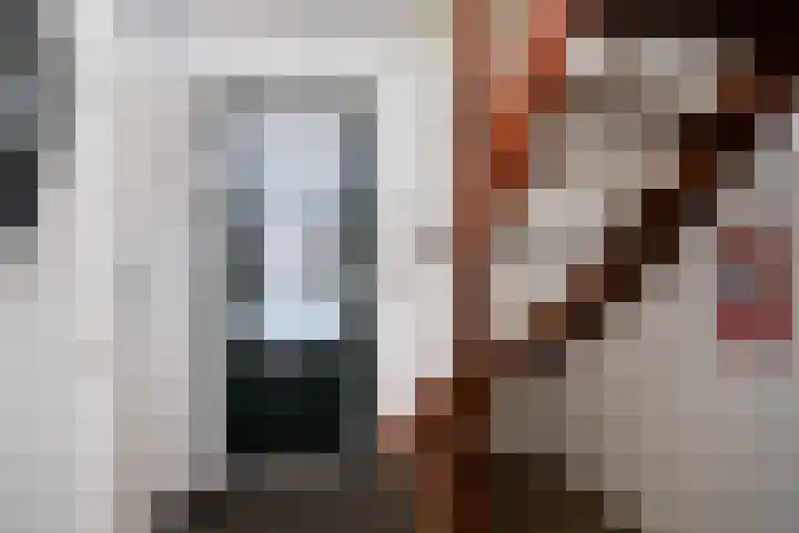 't Hertenspoor 120 Diever thumbnail 19