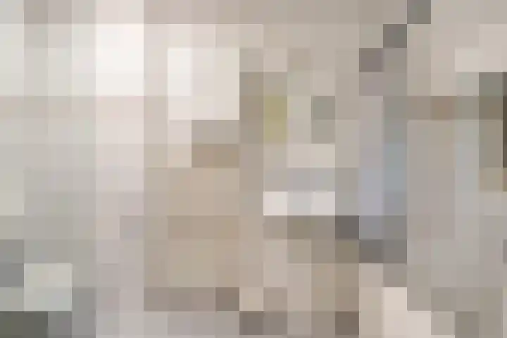 't Hertenspoor 120 Diever thumbnail 20