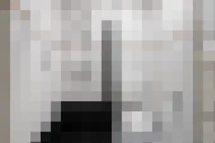 't Hertenspoor 120 Diever thumbnail 21