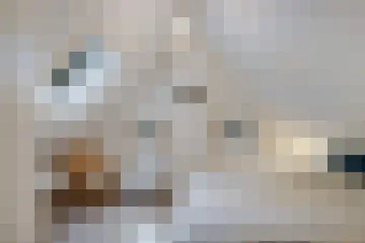 't Hertenspoor 120 Diever thumbnail 23