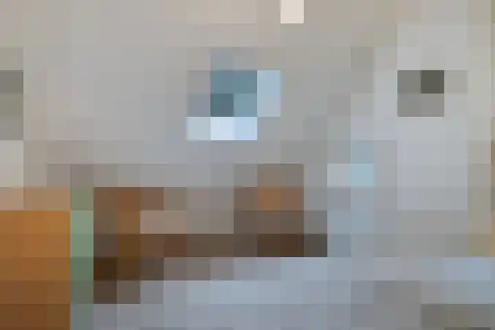 't Hertenspoor 120 Diever thumbnail 24
