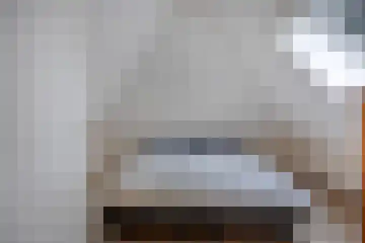 't Hertenspoor 120 Diever thumbnail 25