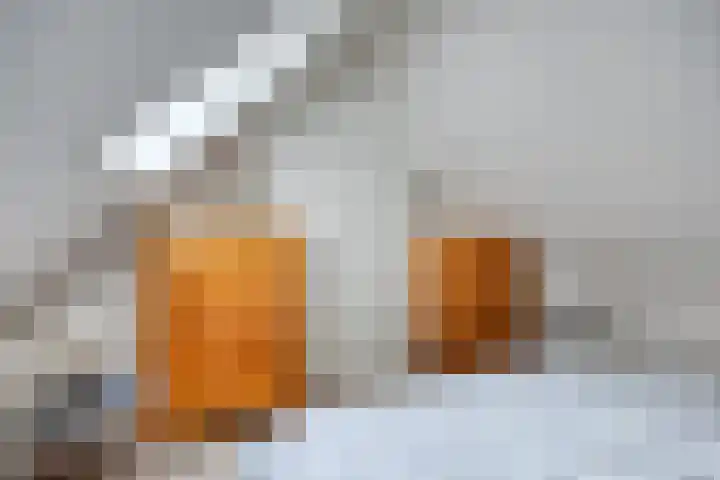 't Hertenspoor 120 Diever thumbnail 27