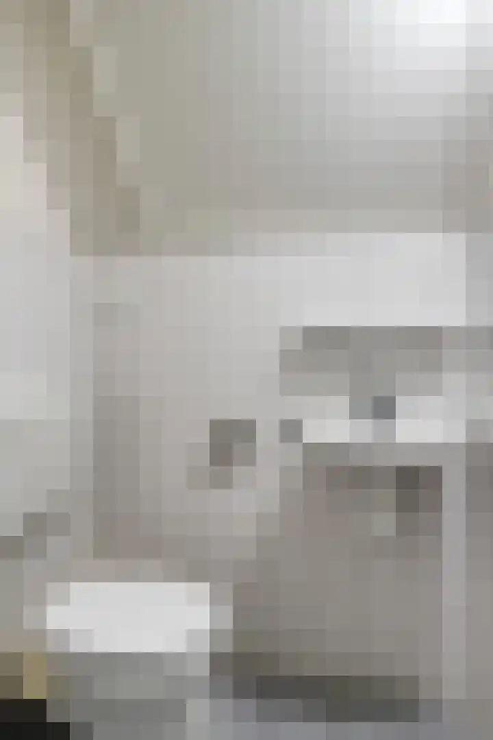 't Hertenspoor 120 Diever thumbnail 29