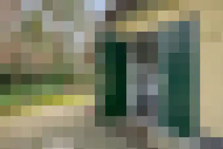 't Hertenspoor 120 Diever thumbnail 30