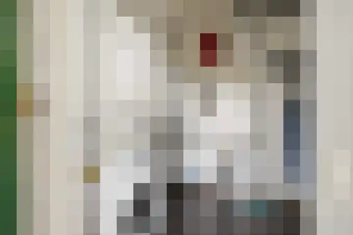 't Hertenspoor 120 Diever thumbnail 31