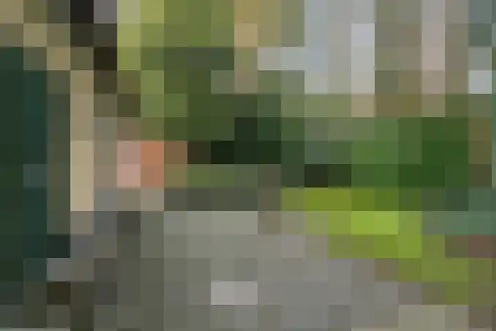 't Hertenspoor 120 Diever thumbnail 32