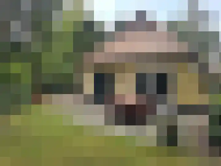 't Hertenspoor 120 Diever thumbnail 34