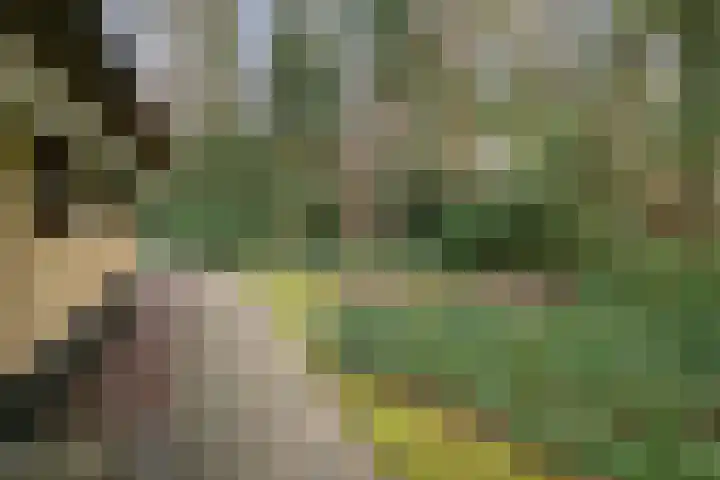 't Hertenspoor 120 Diever thumbnail 37