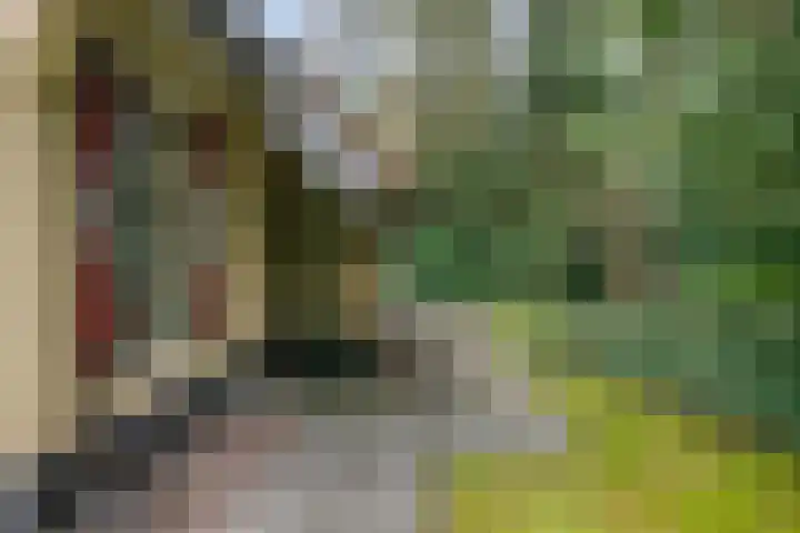 't Hertenspoor 120 Diever thumbnail 38