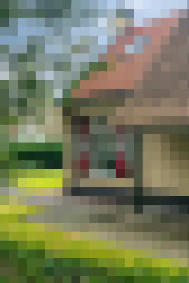 't Hertenspoor 120 Diever thumbnail 39