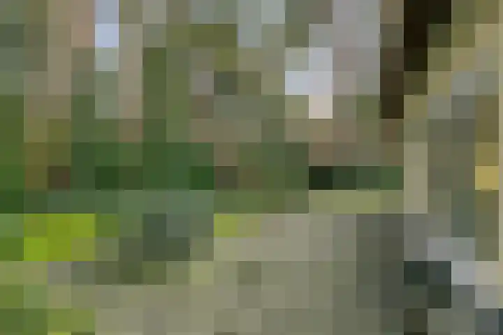 't Hertenspoor 120 Diever thumbnail 4