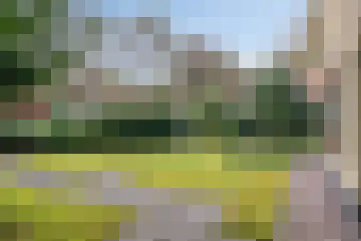 't Hertenspoor 120 Diever thumbnail 40