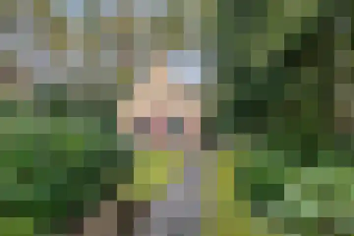 't Hertenspoor 120 Diever thumbnail 41
