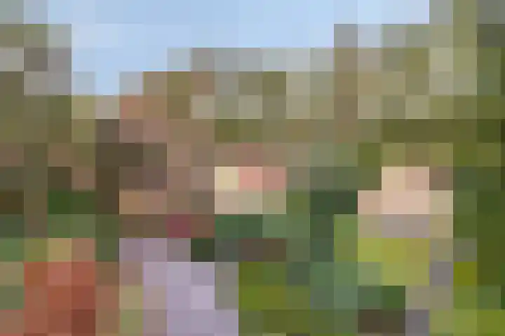 't Hertenspoor 120 Diever thumbnail 42