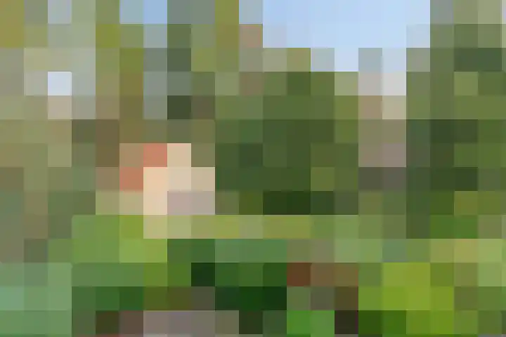 't Hertenspoor 120 Diever thumbnail 43