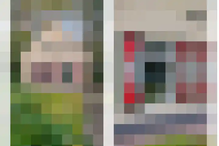 't Hertenspoor 120 Diever thumbnail 44