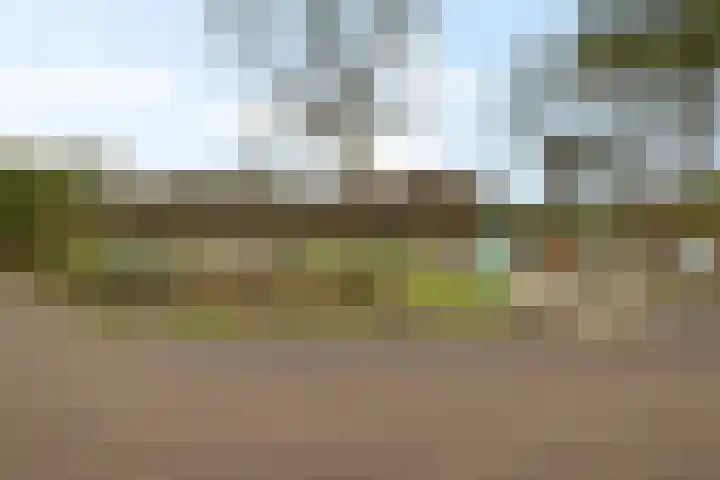 't Hertenspoor 120 Diever thumbnail 45