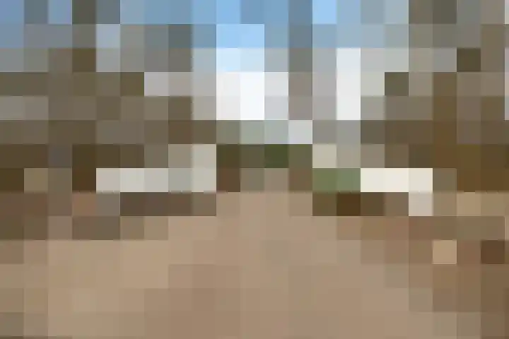 't Hertenspoor 120 Diever thumbnail 46