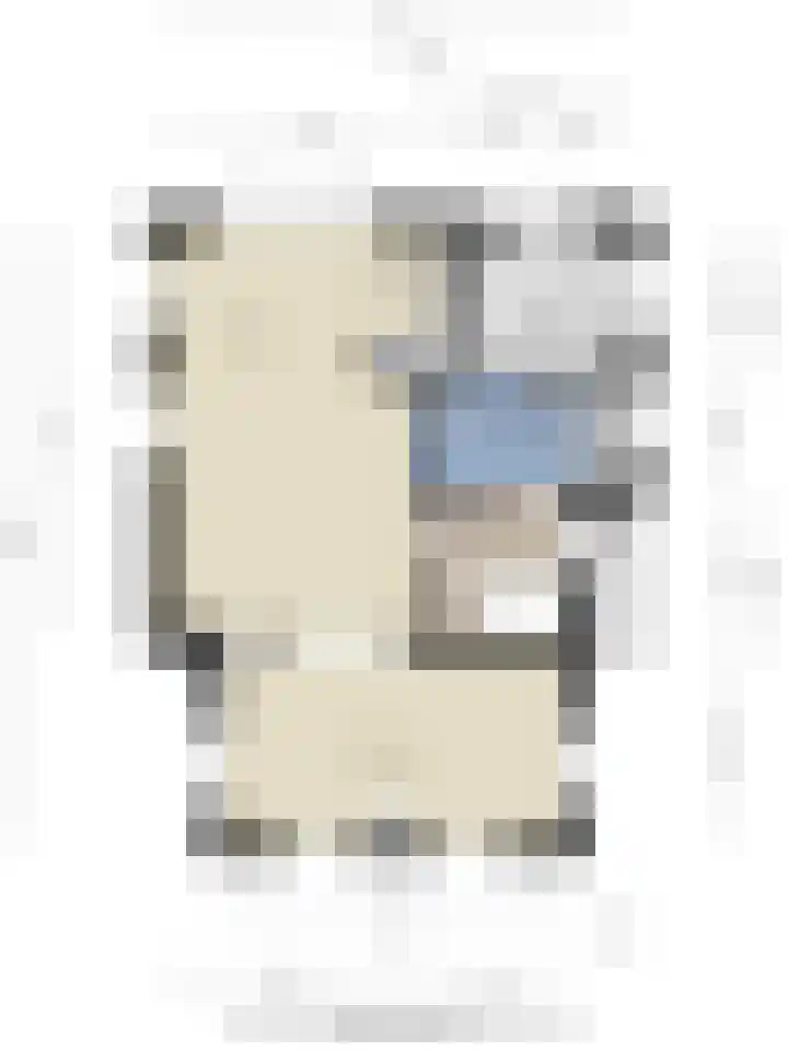 't Hertenspoor 120 Diever thumbnail 47