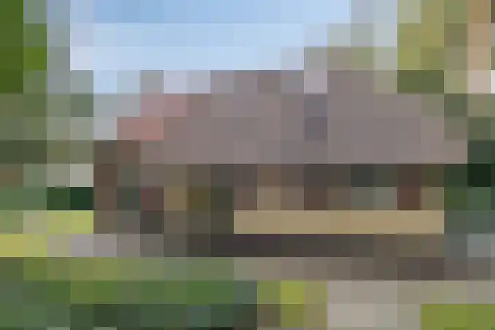 't Hertenspoor 120 Diever thumbnail 5