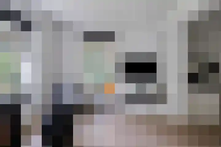 't Hertenspoor 131 Diever thumbnail 11