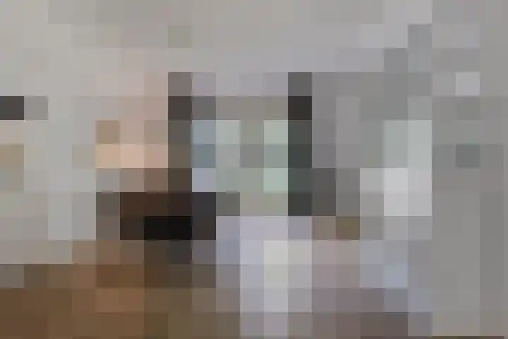 't Hertenspoor 131 Diever thumbnail 13