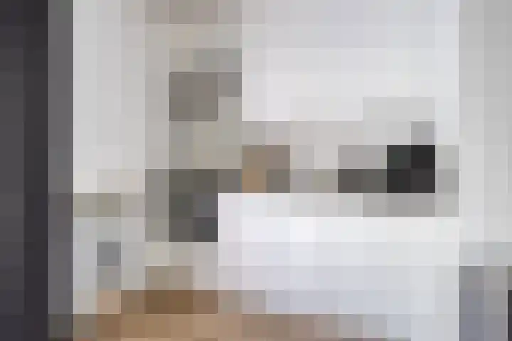 't Hertenspoor 131 Diever thumbnail 17