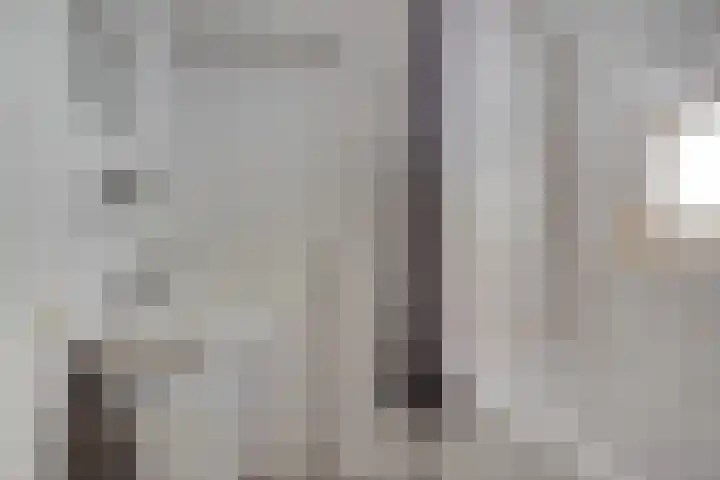 't Hertenspoor 131 Diever thumbnail 20