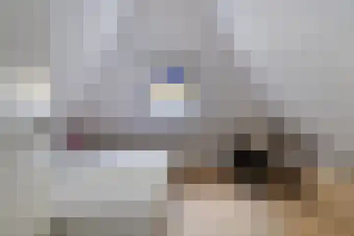 't Hertenspoor 131 Diever thumbnail 24