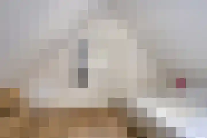 't Hertenspoor 131 Diever thumbnail 26