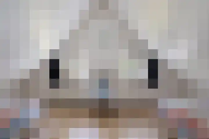 't Hertenspoor 131 Diever thumbnail 27