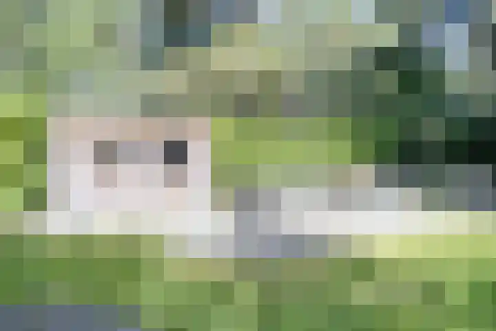 't Hertenspoor 131 Diever thumbnail 29