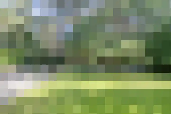't Hertenspoor 131 Diever thumbnail 30