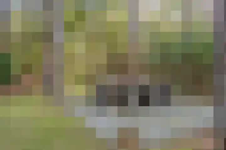 't Hertenspoor 131 Diever thumbnail 31