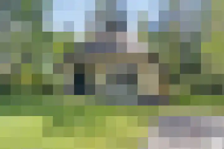 't Hertenspoor 131 Diever thumbnail 32