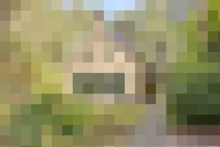 't Hertenspoor 131 Diever thumbnail 34