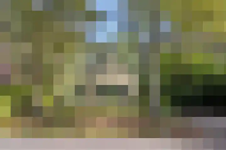 't Hertenspoor 131 Diever thumbnail 35