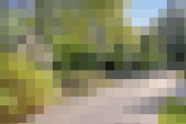 't Hertenspoor 131 Diever thumbnail 36