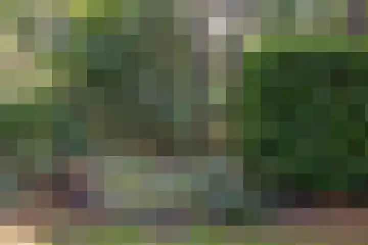 't Hertenspoor 131 Diever thumbnail 37